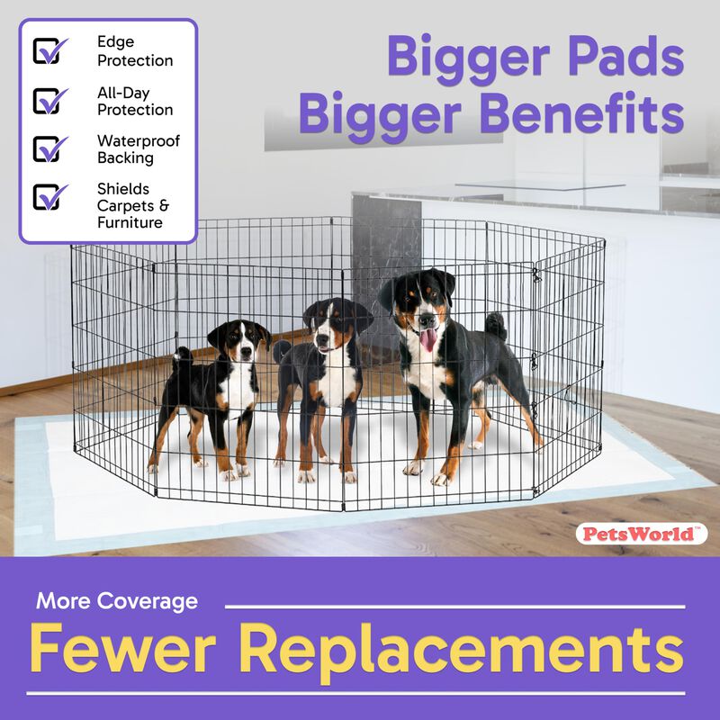 Petsworld Tapetes Absorbentes Gigantes Para Per... image number null