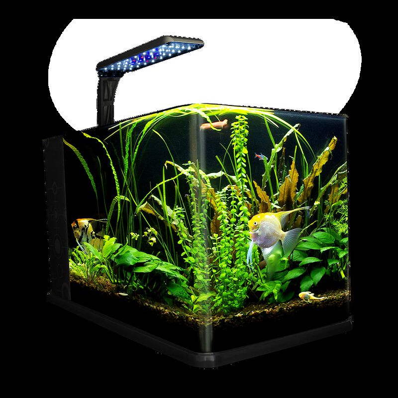 Lomas Acuario Nano Largo Par Peces Con Capacida... image number null