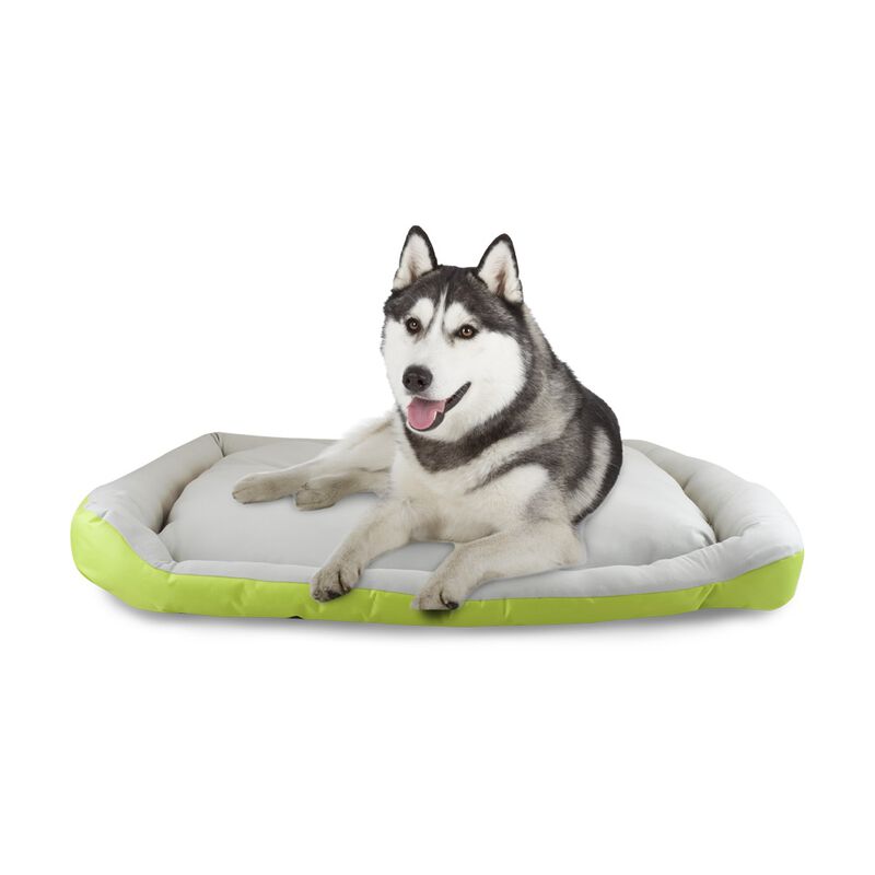 Fancy Pets Cama Rizzo Para Perro Color Verde Ta... image number null