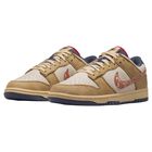 Tenis Casual Nike Dunk Low Retro SE HQ3640-790