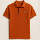 Playera Polo de Algod&oacute;n Manga Corta Casual para Hombre Bark