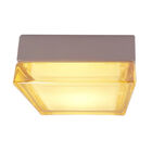 L&aacute;mpara Plaf&oacute;n/pared Led 10 W, Luz C&aacute;lida Brillante, Ip54, Ik05 No Atenuable