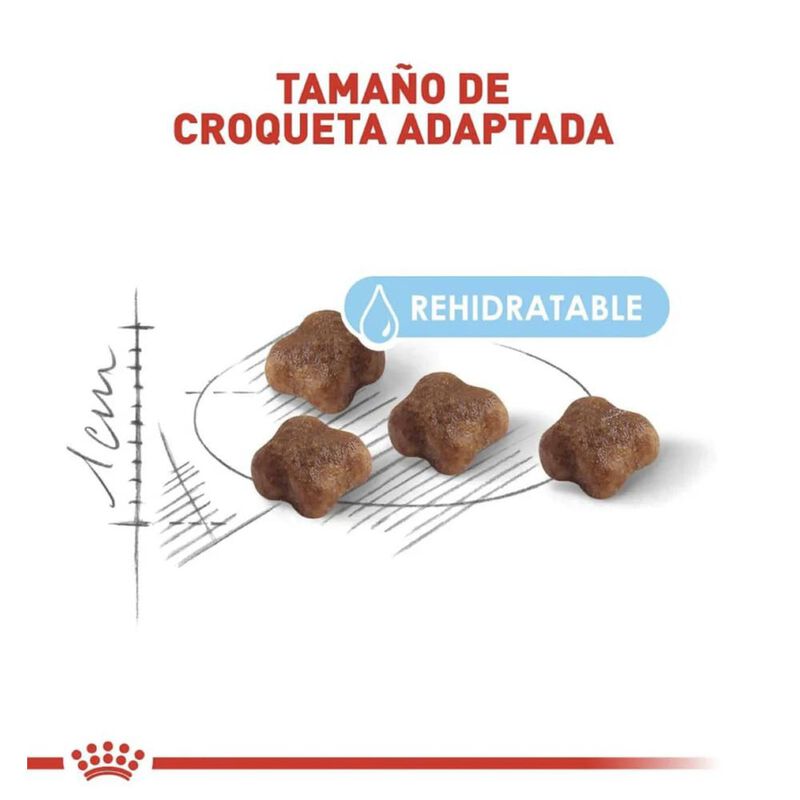 Royal Canin Mother & Babycat 1.37 Kg Original S... image number null