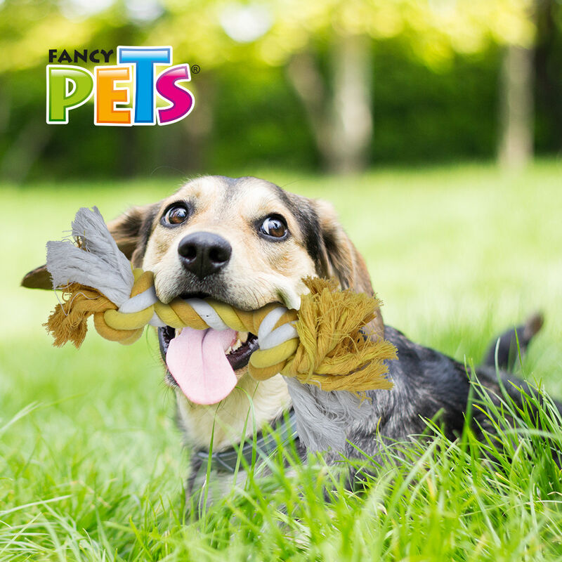 Fancy Pets Juguete en Froma de Hueso de Hilo pa... image number null