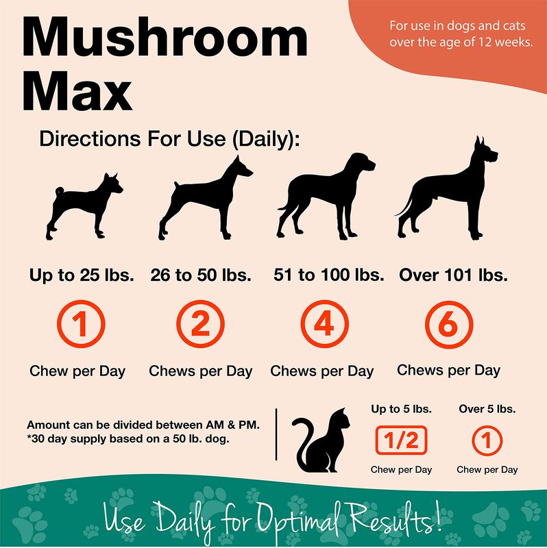 Suplemento Para Perros Naturvet Mushroom Max Im... image number null
