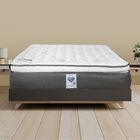 Colchón Queen Size Spring Air Phantom + Protector Spring Air + Almohada Dicasa One