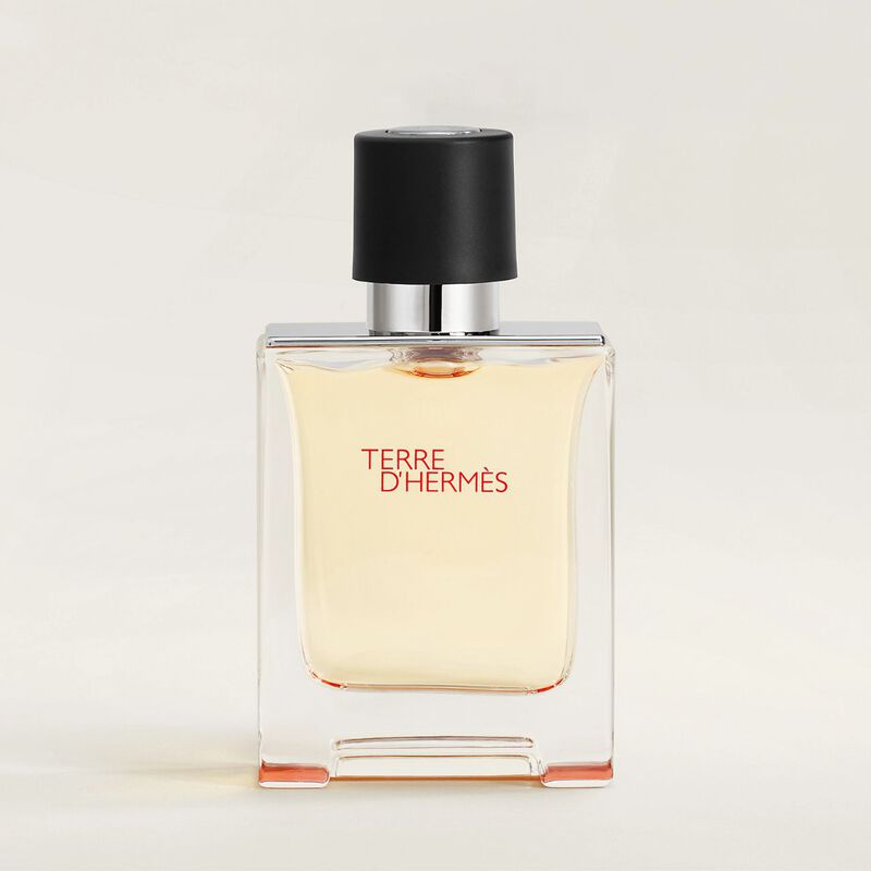Hermes Terre 50 Ml Edt Hombre image number null