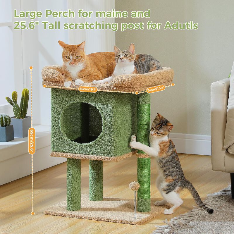 Torre Para Gatos Pawz Road 66 cm Cactus Compact... image number null