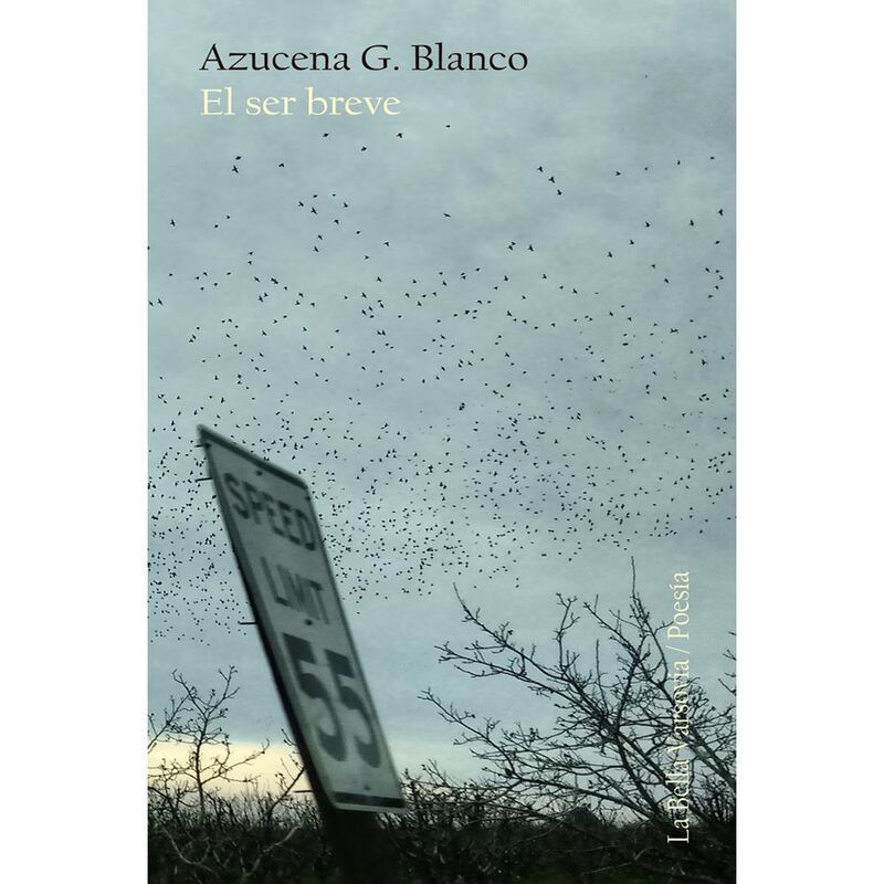 El ser breve image number null