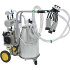 M&aacute;quina Orde&ntilde;adora De Leche 5 A 8 Vacas 80 L X Min