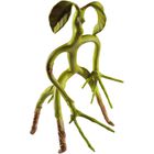 Figura Flexible Bowtruckle Animales Fant&aacute;sticos 18 cms