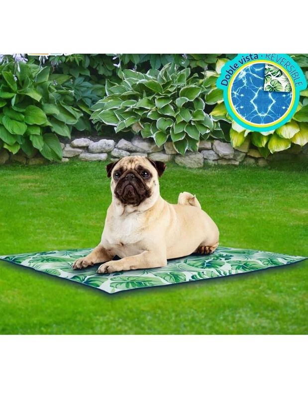 Cama para perro Casa BIU image number null