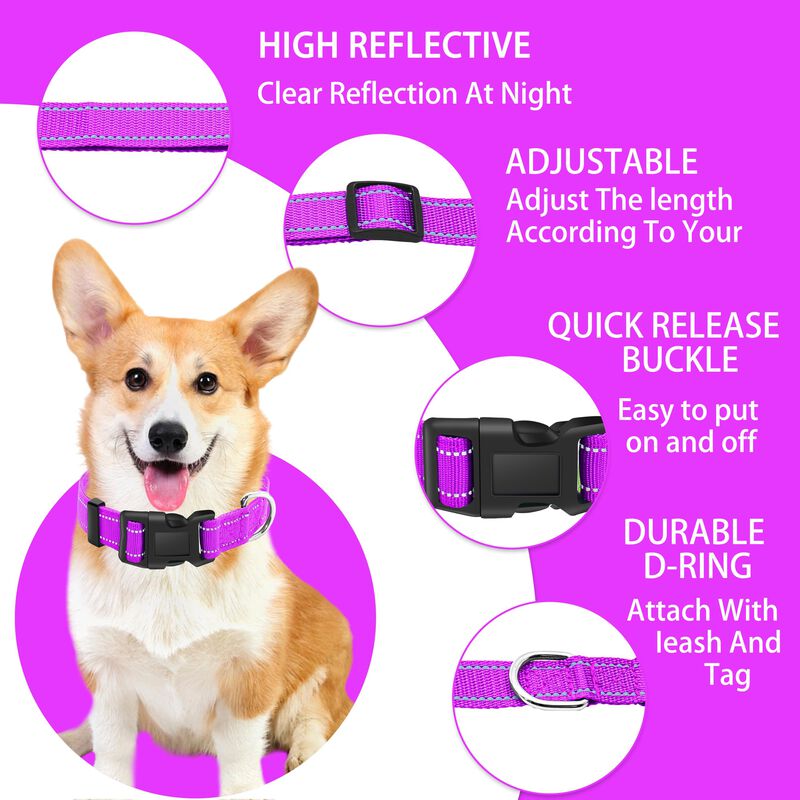 Collar Reflectante Maiiu Para Perro Y Correa image number null