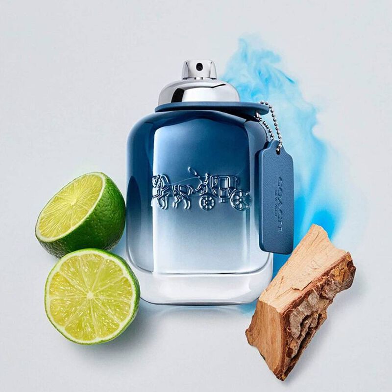 Perfume de Hombre Coach Man Blue 100 Ml Agua de... image number null