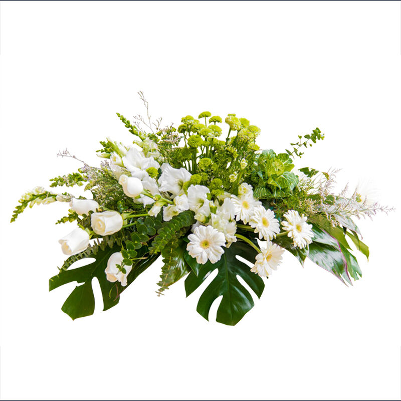 Recuerdo Eterno image number null