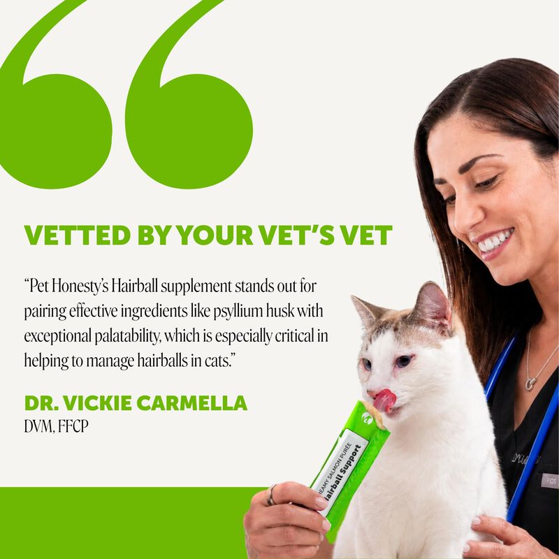 Remedio Para Bolas De Pelo En Gatos Pet Honesty... image number null