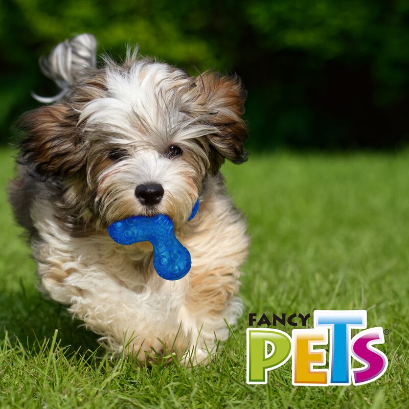 Fancy Pets Juguete Sat&eacute;lite Sound Tama&ntilde;o Chico ... image number null