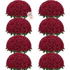 Rosas Artificiales Yastouay 200 Piezas Burdeos De Seda