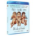 Un D&iacute;a De Boda [blu-ray R] (1978) Una Boda