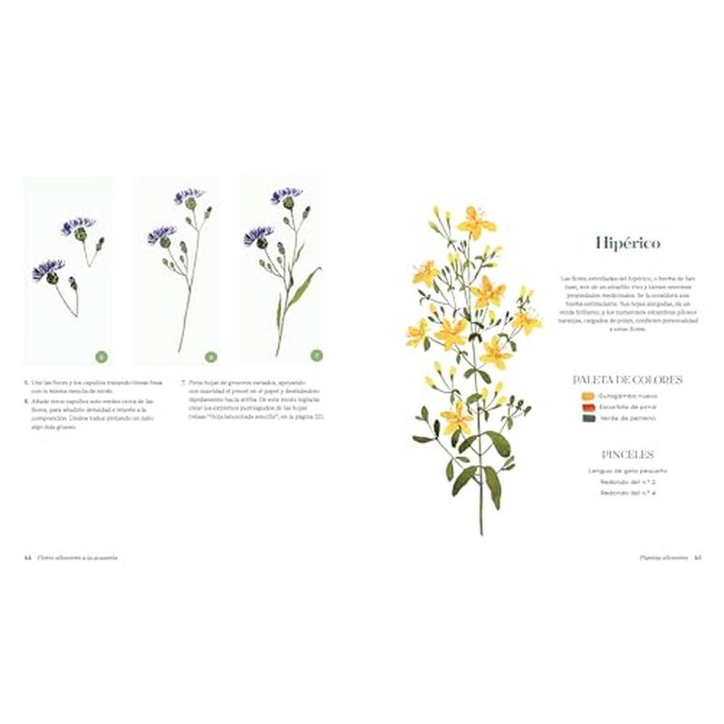 Flores silvestres a la acuarela. Manual de pint... image number null