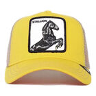 Gorra Goorin Bros Stallion 625469139