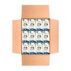 T&eacute; De Moringa Miracle Tree Sabor Ar&aacute;ndano 300 g Sin Cafe&iacute;na