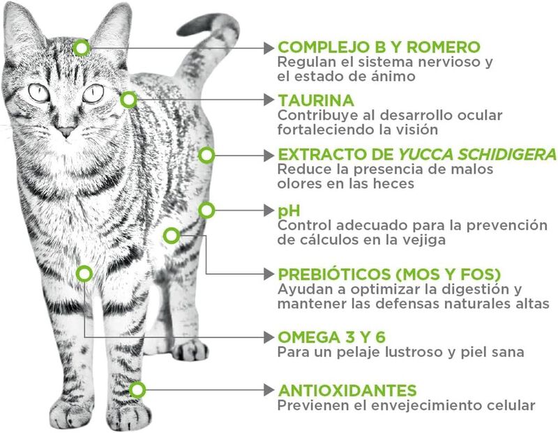 Nupec Felino Adul Indoor 3 kg image number null