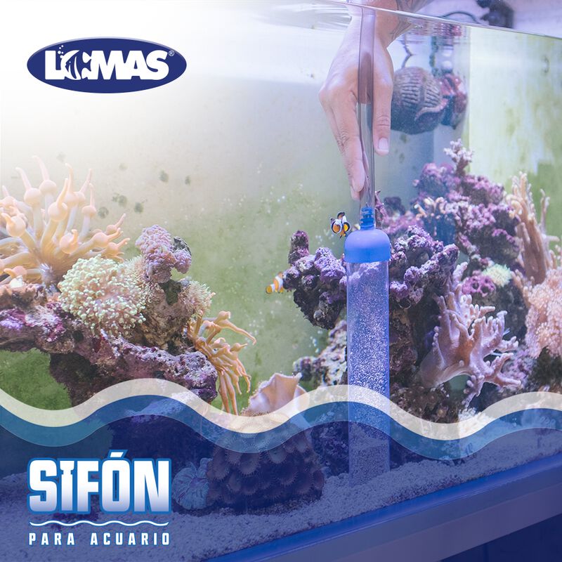 Lomas Sifón Para Acuario Y/o Pecera Tamaño Medi... image number null