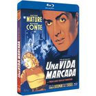 Una Vida Marcada Bd 1948 Cry Of The City [blu-ray]