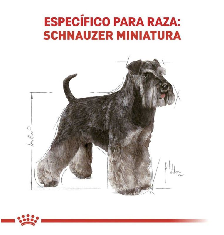 Royal Canin Bhn Miniature Schnauzer 4.55 Kg Ori... image number null