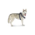 Fancy Pets Arnés Berrydog Color Azul Tamaño Grande Para Perro