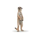 Figura Papo Wild Animal Kingdom Standing Meerkat 50206