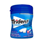 TRIDENT 30S MENTA BOTELLA 39 GR