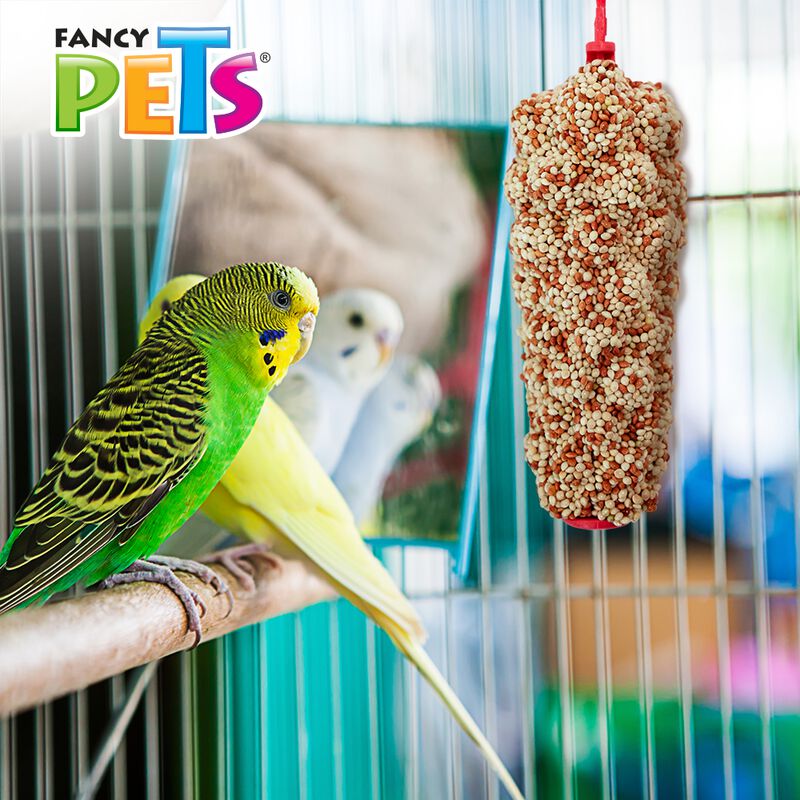 Redkite Barrita De Mijo Para Aves Con 1 Pieza image number null