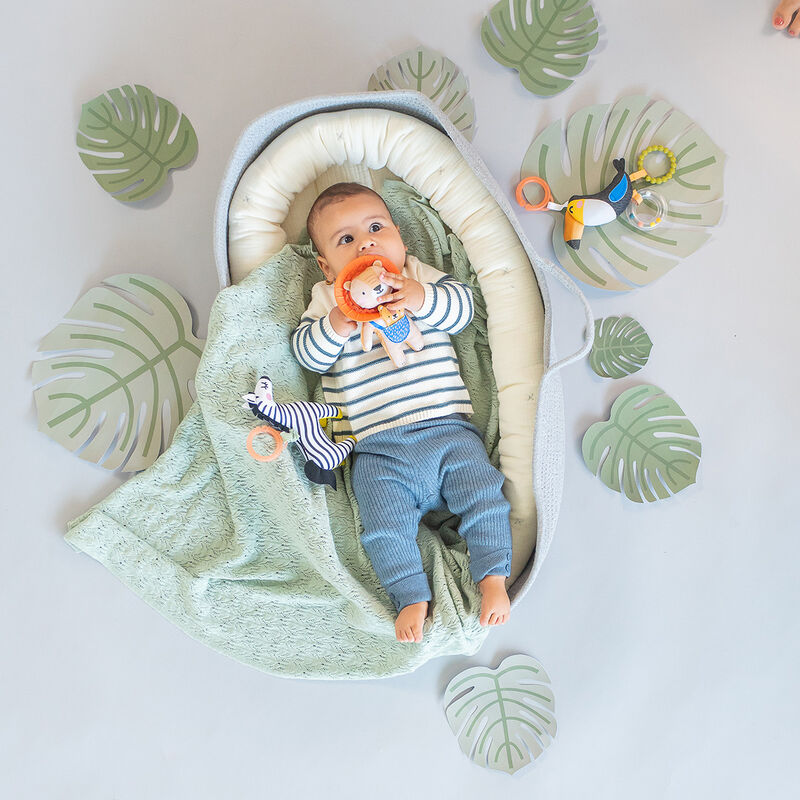 Dizi La Cebra image number null