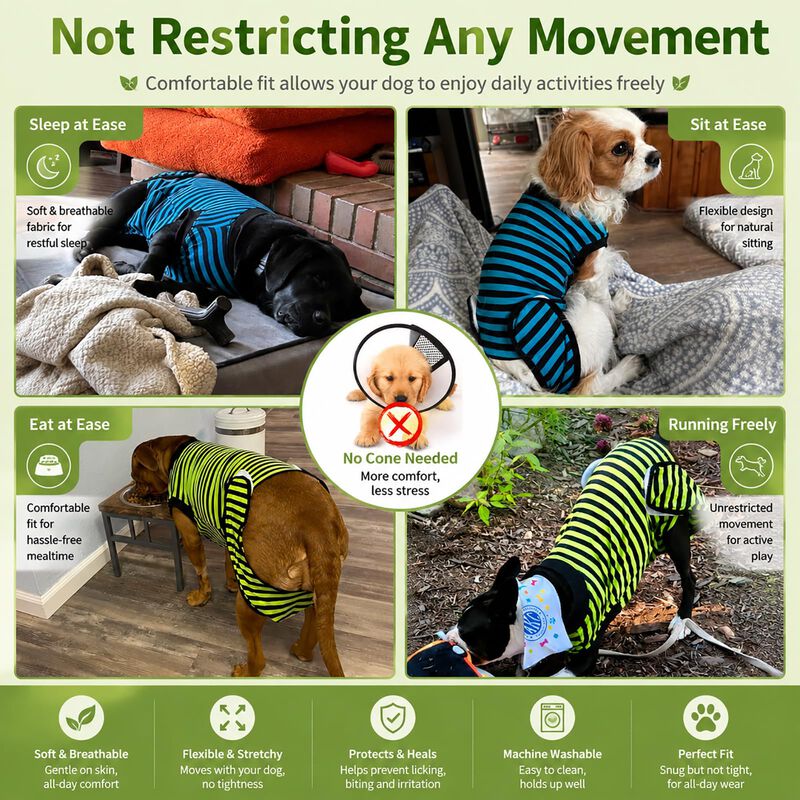 Traje De Recuperaci&oacute;n Para Perro Quearn - Pack ... image number null