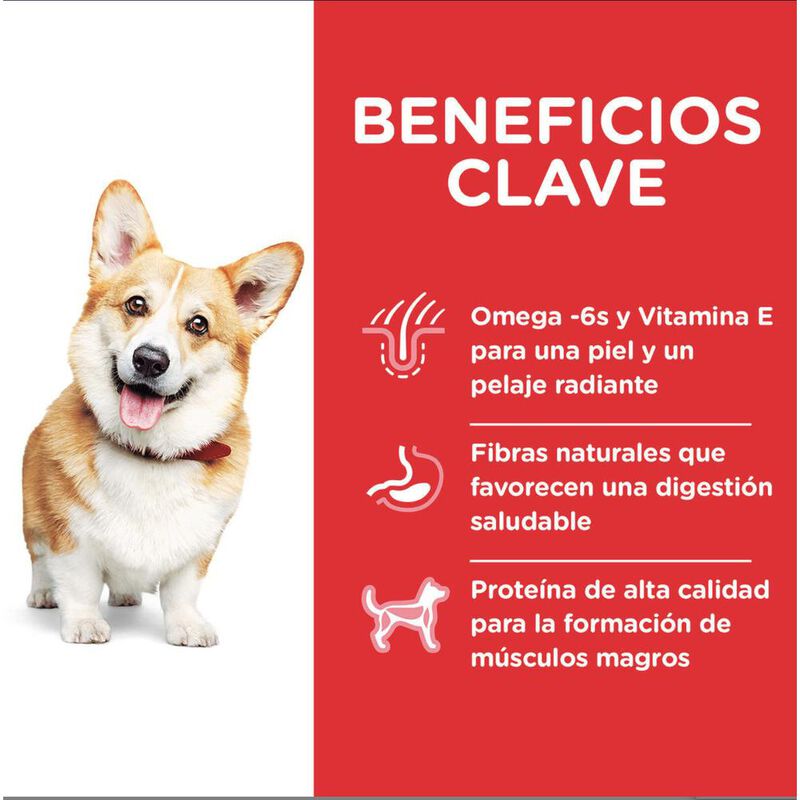 Hill's Canino Adult Small 2 Kg 4 Unid X Caja image number null