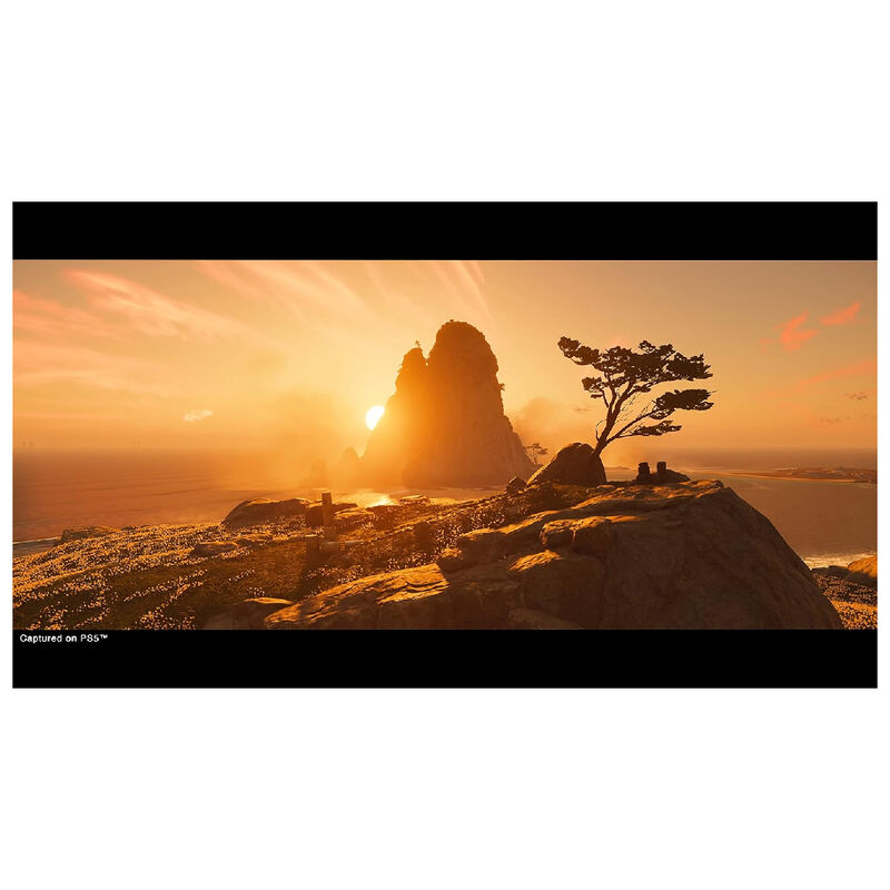 PS5 Juego Ghost Of Tsushima Director's Cut image number null