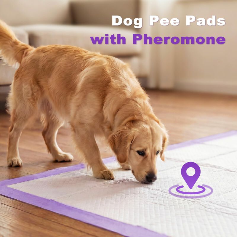 Alfombrillas Absorbentes Para Perros Mizok 91x9... image number null