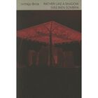 Rhather Like A Shadow, M&aacute;s Bien Sombra, De Santiago Borja, Museo Amparo