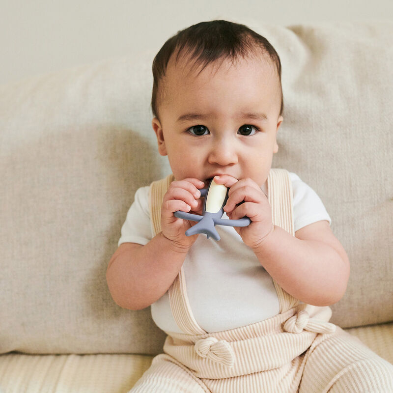 Mm Mordedera Tiburon image number null