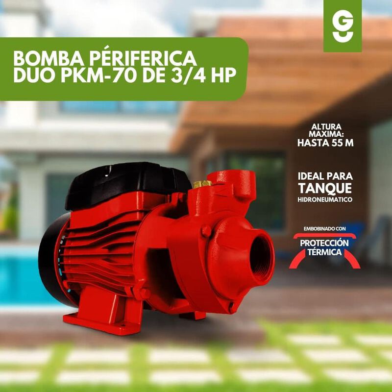 Bomba Periferica Duo Igoto PKM70 Mayor Flujo de... image number null