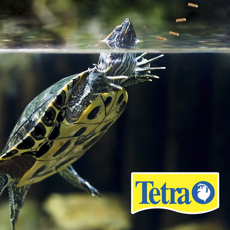 Tetra Reptomin Pro Alimento Para Tortugas Con 2... image number null