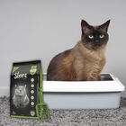 Skoon 4 Pack: Arena Premium con Diatomax Para Gatos