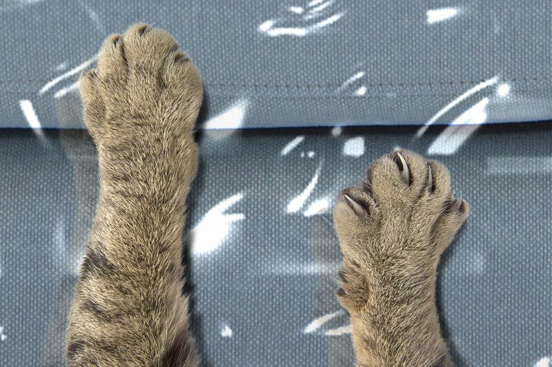 Funda De Sof&aacute; De Pl&aacute;stico Meminim Para Mascotas... image number null