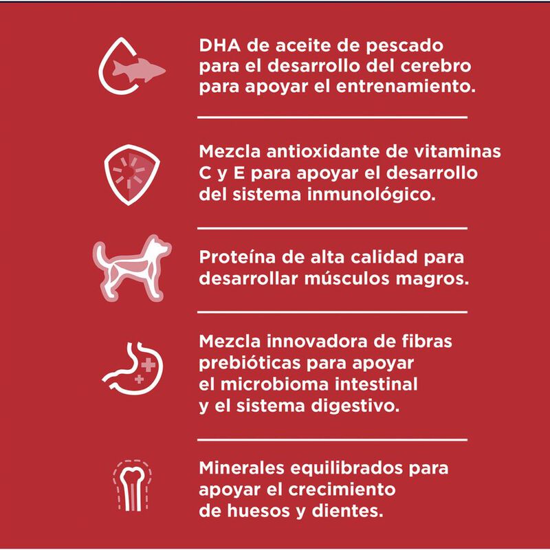 Hill's Canino Puppy Small 2 Kg 1 Unid X Caja image number null