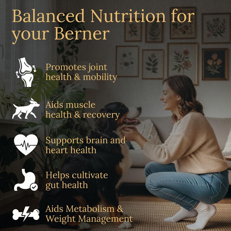 Multivitam&iacute;nico Para Perro Prestige Breed 90 Co... image number null