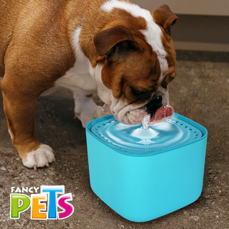 Fancy Pets. Bebedero Autom&aacute;tico para Perros y G... image number null