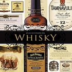Atlas Ilustrado Del Whisky, De Susaeta, Susaeta, Dura, 2021