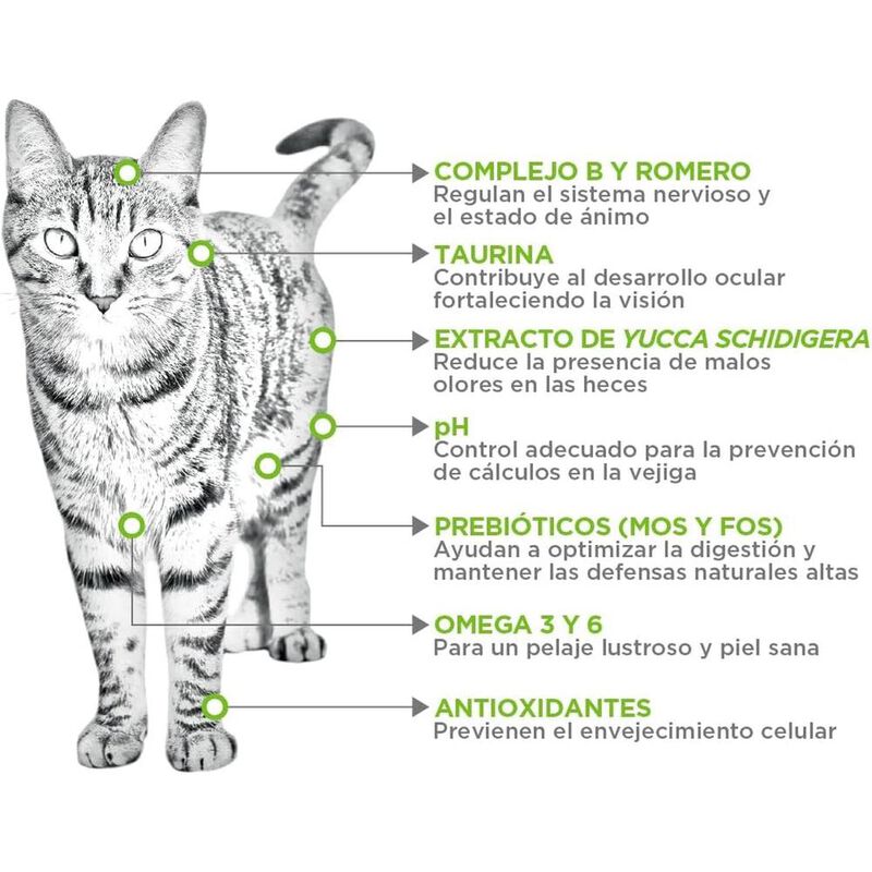 Nupec Felino Adul Indoor 1.5 kg image number null